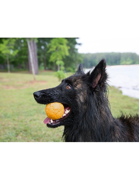 WEST PAY WEST PAW ZOGOFLEX AIR BOZ PELOTA PARA PERROS AMARILLO AMARILLO FUCSIA FUCSIA 10 CM 10 CM 10 CM 6 CM 6 CM AGUAMARI - 6