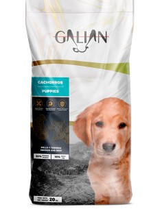 GALIAN COGASA GALIAN DOGS PUPPIES - 20 KG 20 KG - 2