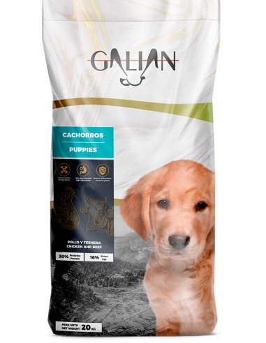 GALIAN COGASA GALIAN DOGS PUPPIES - 20 KG 20 KG - 2