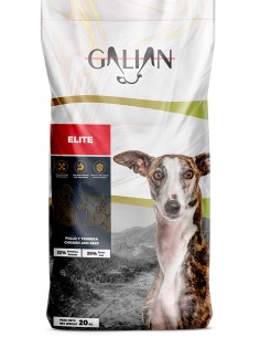 GALIAN COGASA GALIAN DOGS ELITE - 20 KG 20 KG - 2