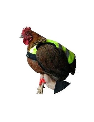 GAUN CHALECO REFLECTANTE PARA GALLINAS 