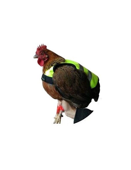 GAUN CHALECO REFLECTANTE PARA GALLINAS 