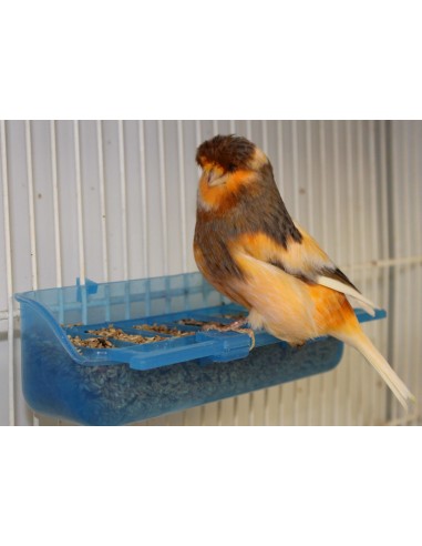 MOLDES AVE COMEDERO CELIA CON 4 SEMILLEROS  - 3