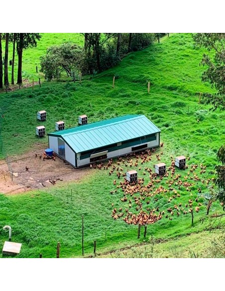 COPELE CORRAL MOVIL CONTINENTAL PARA GALLINAS 6 X 10 X 1 8 METROS 6 X 15 X 1 8 METROS 6 X 5 X 1 8 METROS - 3