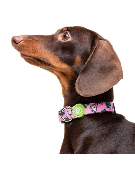 DUKIER COLLAR VEGAN - 2