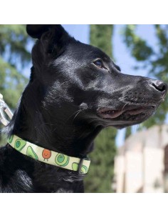 DUKIER COLLAR AVOCADO