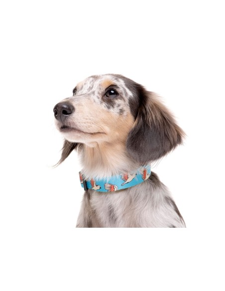 DUKIER COLLAR BIRDS - 2