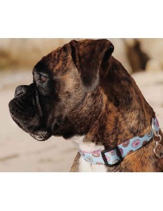 DUKIER COLLAR CUPCAKES 2