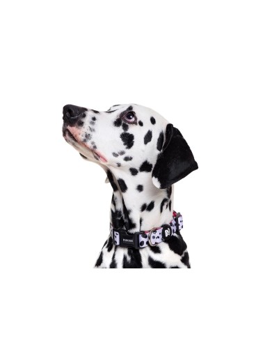 DUKIER COLLAR DALMATIAN - 2