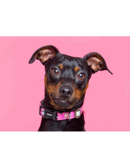 DUKIER COLLAR DOGTELLA - 2