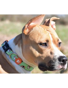 DUKIER COLLAR NIGIRI