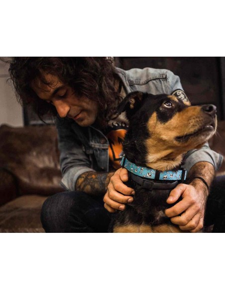 DUKIER COLLAR SKULLS - 2