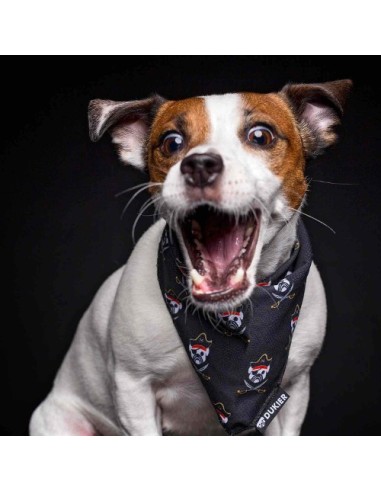 DUKIER BANDANA PIRATE