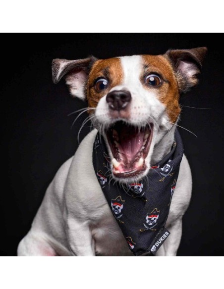 DUKIER BANDANA PIRATE