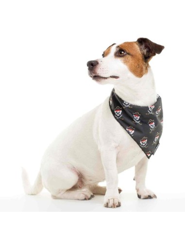 DUKIER BANDANA PIRATE - 2