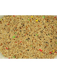 SINFONÍA MIXTURA PERIQUITOS 