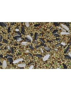 SINFONÍA MIXTURA PARA NINFAS Y COTORRITAS 