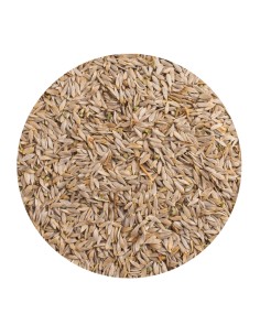 PET CUP LECHUGA BLANCA - 1,5 KG 1 5 KG