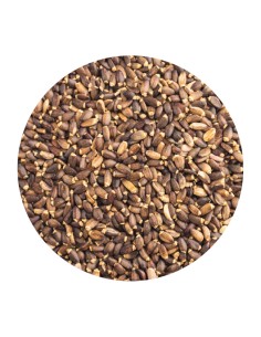 PET CUP CARDO MARIANO - 2 KG 2 KG