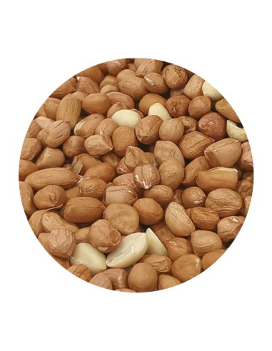 PET CUP CACAHUETE SIN CASCARA - 850 GR 850 GR