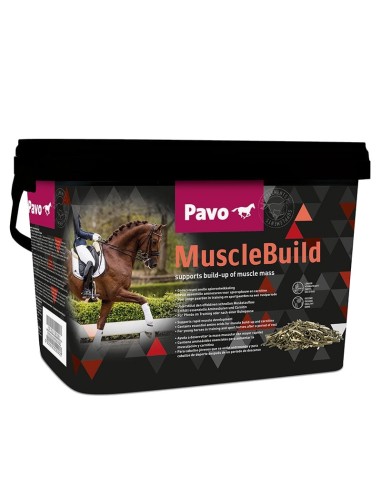 PAVO MUSCLEBUILD DESARROLLO MUSCULAR - 3 KG 3 KG - 2