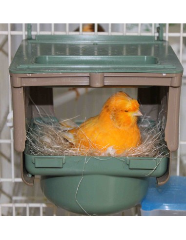 MOLDES AVE NIDO MODELO DUBAI 8 CM 10 CM 12 CM - 8