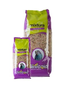 SINFONÍA MIXTURA PERIQUITOS  2