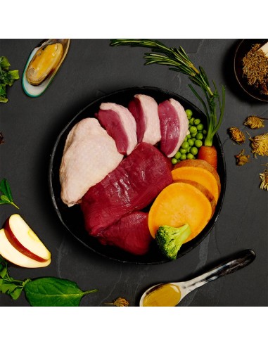 CANAGAN LATA DE CARNES DE CAZA PARA PERROS - 400 GR 400 GR - 4