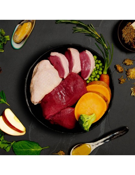 CANAGAN LATA DE CARNES DE CAZA PARA PERROS - 400 GR 400 GR - 4