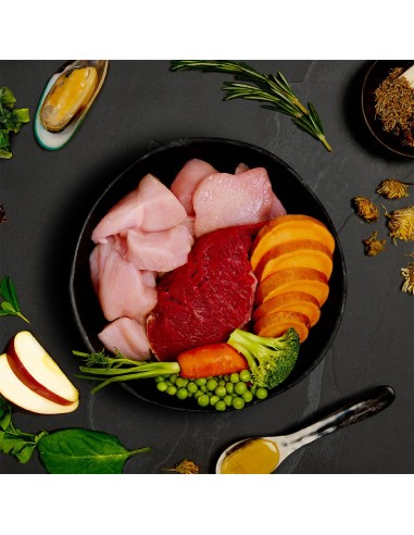 CANAGAN LATA DE FESTÍN TERNERA Y POLLO CAMPERO PARA CACHORROS - 400 GR 400 GR - 4