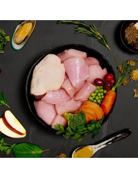 CANAGAN LATA DE FESTÍN PAVO Y POLLO CAMPEROS PARA PERROS SENIOR - 400 GR 400 GR - 4