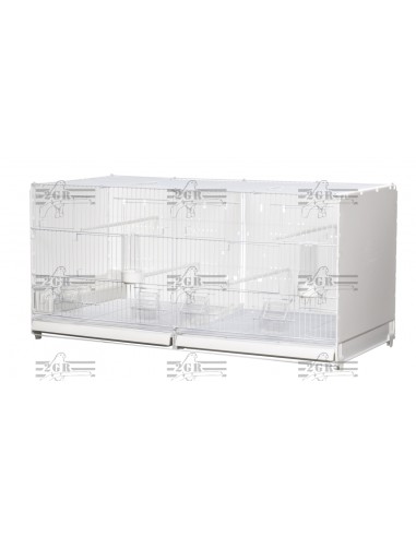 2G-R JAULA DE CRÍA MODELO POSITANO - 90 CM