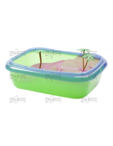 2G-R TORTUGUERA ISCHIA  - 2