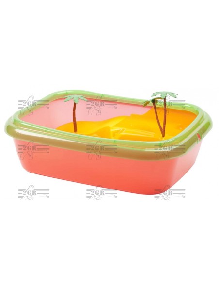 2G-R TORTUGUERA ISCHIA  - 3