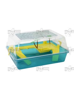 2G-R TORTUGUERA BABY  2