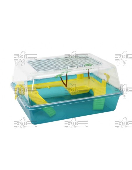 2G-R TORTUGUERA BABY  - 2