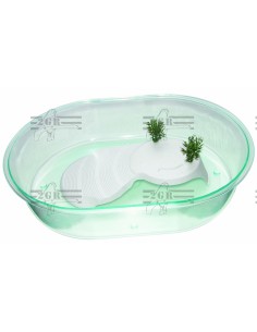 2G-R TORTUGUERA MAXI 