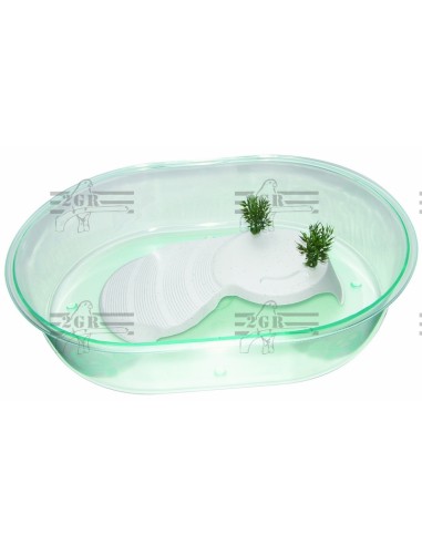 2G-R TORTUGUERA MAXI 