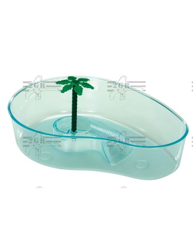 2G-R TORTUGUERA OASIS 