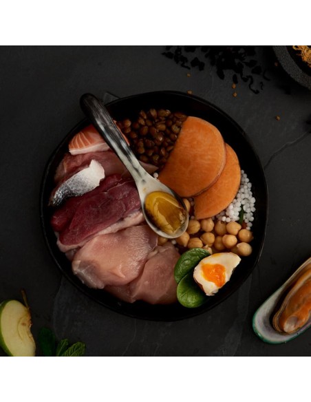 CANAGAN FESTÍN DE LAS HIGHLANDS PARA PERROS 2 KG 12 KG 6 KG - 2