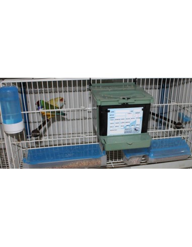 MOLDES AVE NIDO ISABELA PARA EXÓTICOS  - 10