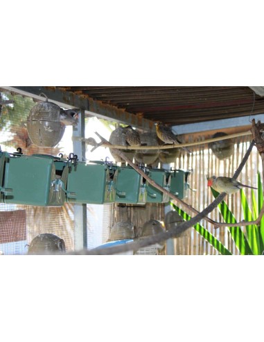 MOLDES AVE NIDO ISABELA PARA EXÓTICOS  - 11