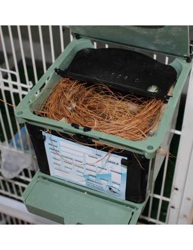 MOLDES AVE NIDO ISABELA PARA EXÓTICOS  - 13