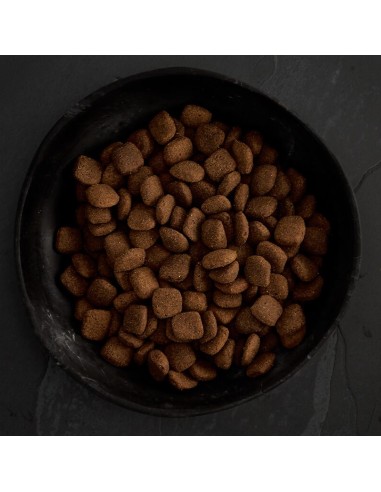 CANAGAN CORDERO DE PRADO PARA PERROS 2 KG 12 KG 6 KG - 4