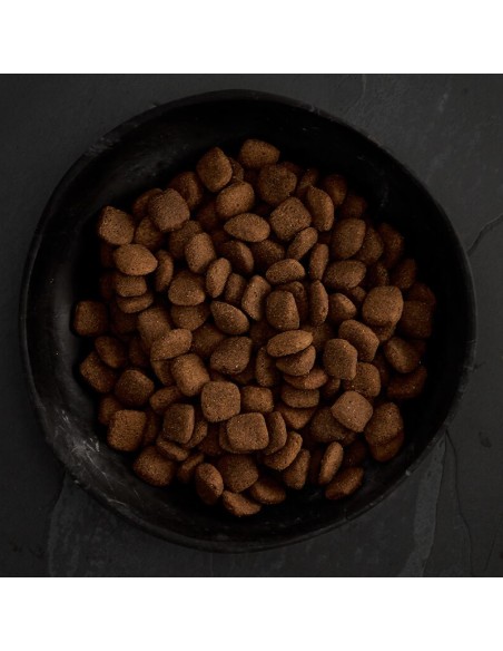 CANAGAN CORDERO DE PRADO PARA PERROS 2 KG 12 KG 6 KG - 4