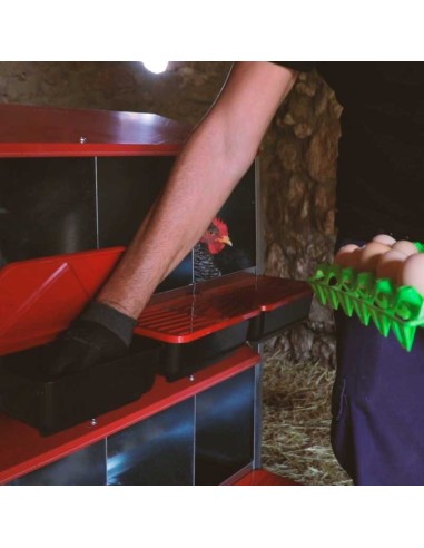 COPELE MÓDULO PONEDERO PLATINUM CON PATAS - 12 DEPARTAMENTOS  - 2