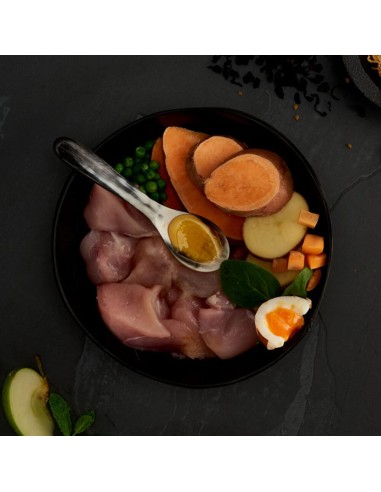 CANAGAN POLLO CAMPERO PARA PERROS 2 KG 12 KG 6 KG - 2