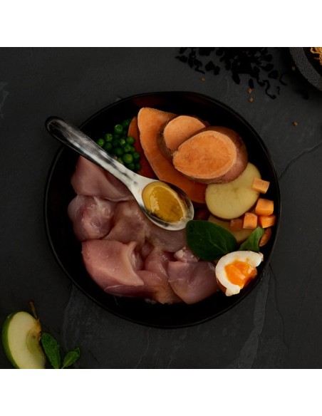 CANAGAN POLLO CAMPERO PARA PERROS 2 KG 12 KG 6 KG - 2