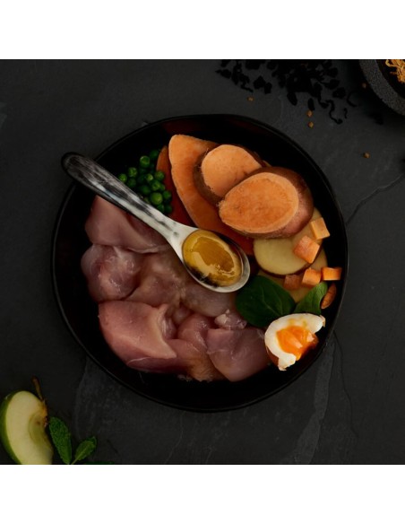 CANAGAN POLLO CAMPERO LIGHT Y SENIOR PARA PERROS 2 KG 12 KG 6 KG - 2