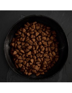 CANAGAN POLLO CAMPERO PARA PERROS 2 KG 12 KG 6 KG - 3 2